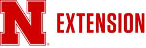 N extension logo